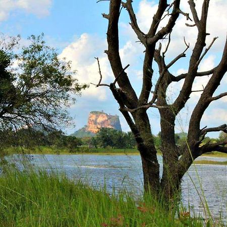 Rho Sigiriya Lake Edge Retreat Kibissa Kültér fotó