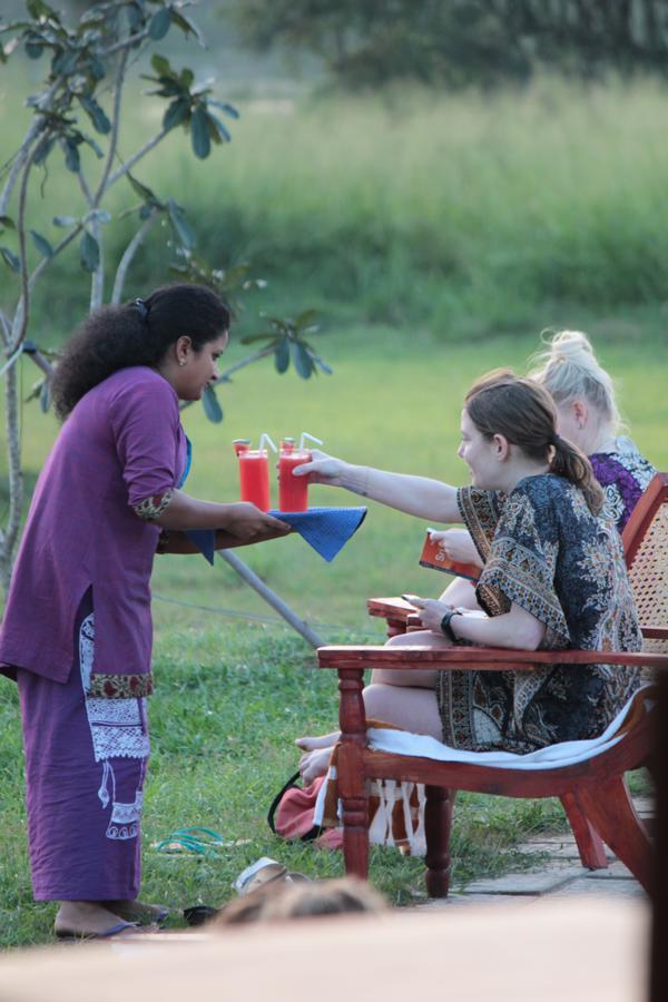 Rho Sigiriya Lake Edge Retreat Kibissa Kültér fotó