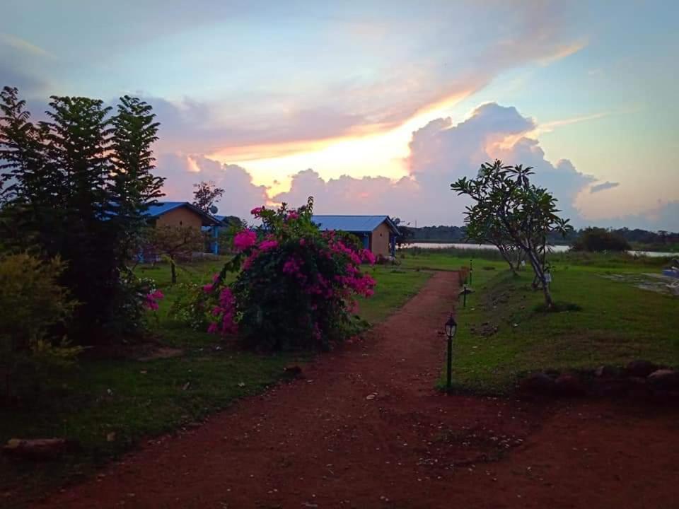 Rho Sigiriya Lake Edge Retreat Kibissa Kültér fotó