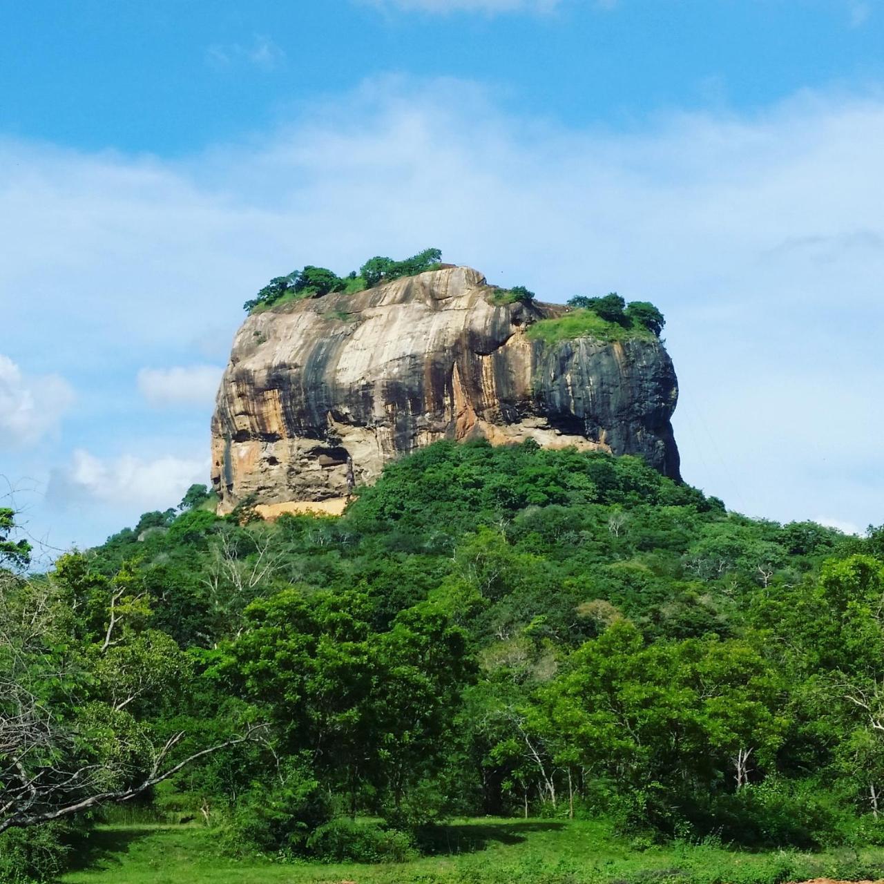 Rho Sigiriya Lake Edge Retreat Kibissa Kültér fotó