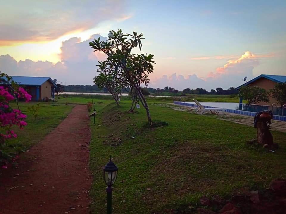 Rho Sigiriya Lake Edge Retreat Kibissa Kültér fotó