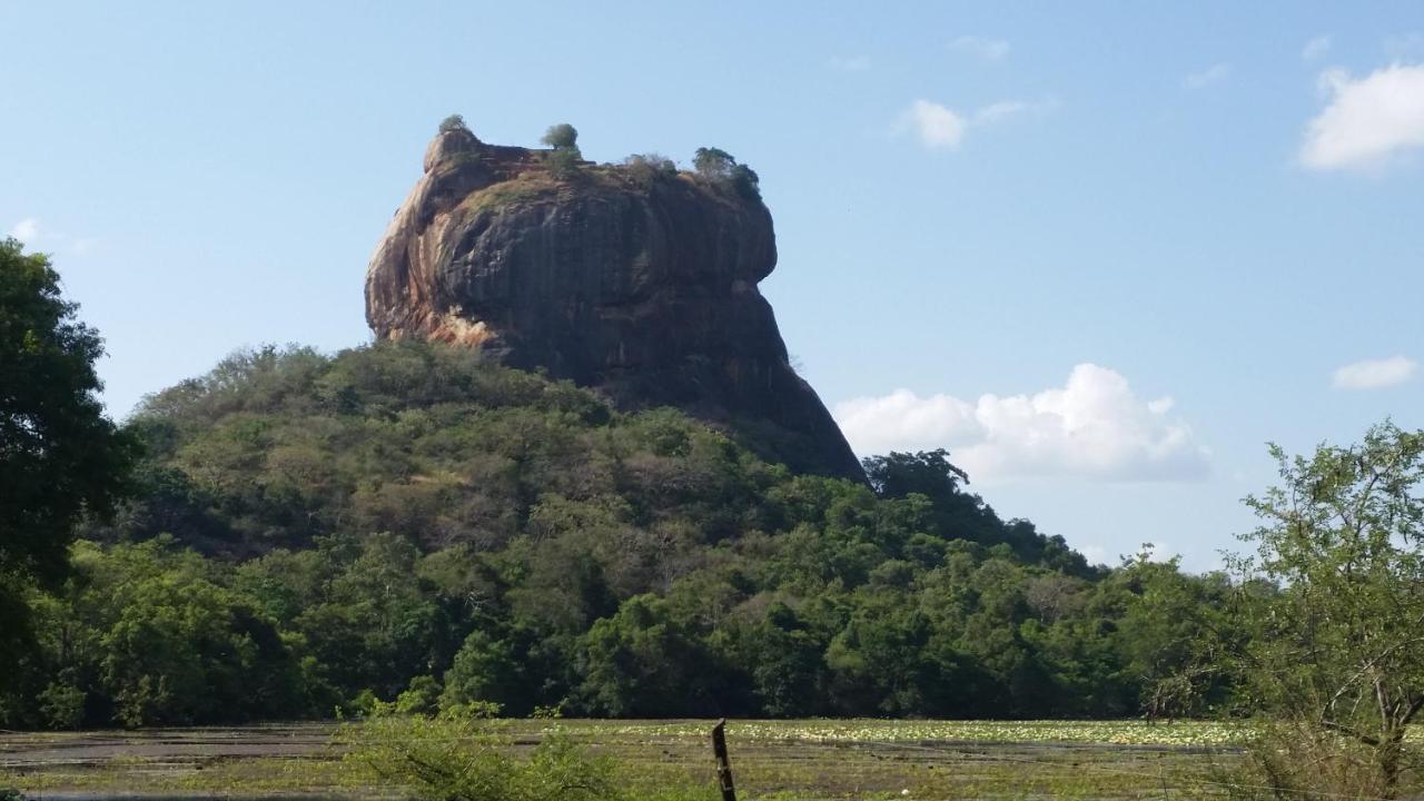 Rho Sigiriya Lake Edge Retreat Kibissa Kültér fotó