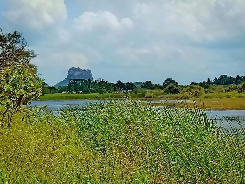 Rho Sigiriya Lake Edge Retreat Kibissa Kültér fotó