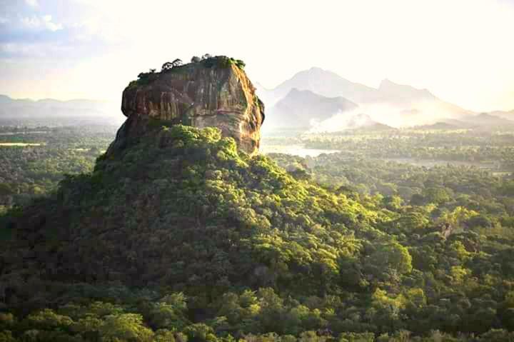 Rho Sigiriya Lake Edge Retreat Kibissa Kültér fotó