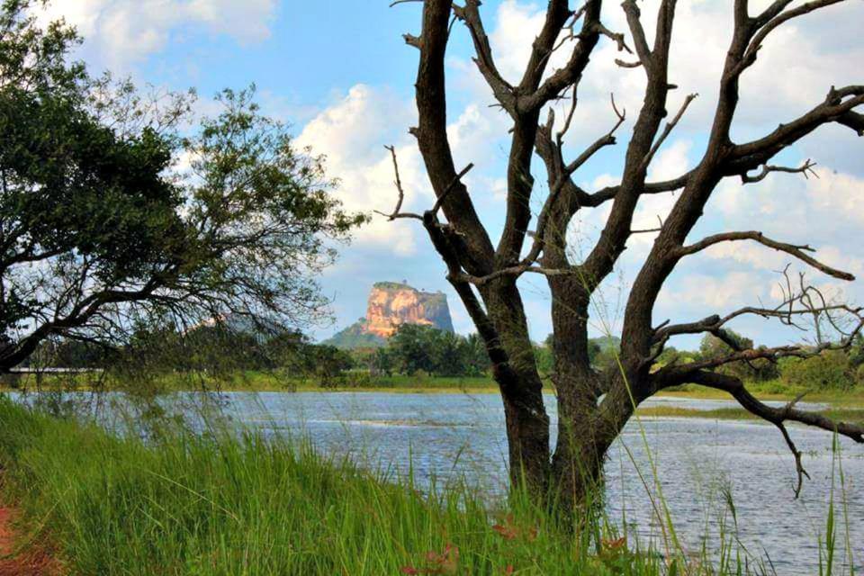 Rho Sigiriya Lake Edge Retreat Kibissa Kültér fotó