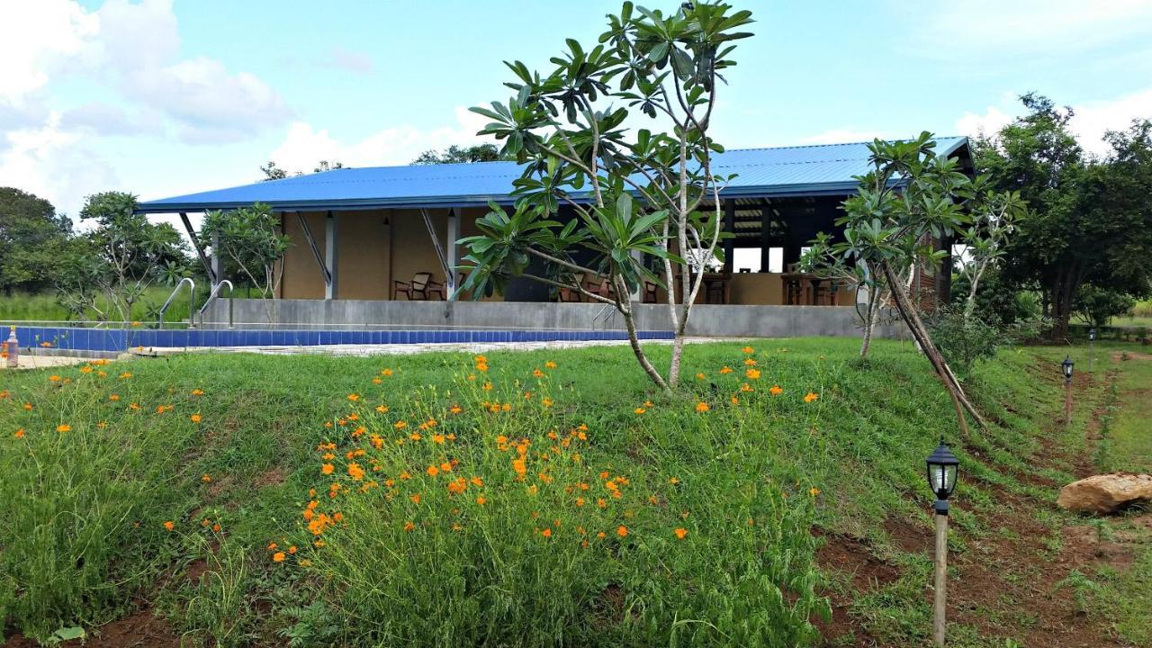 Rho Sigiriya Lake Edge Retreat Kibissa Kültér fotó