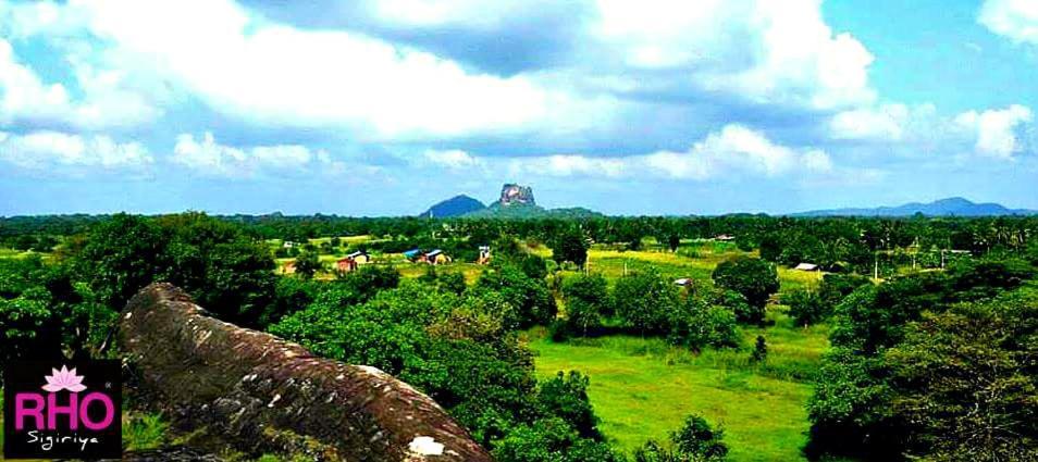 Rho Sigiriya Lake Edge Retreat Kibissa Kültér fotó