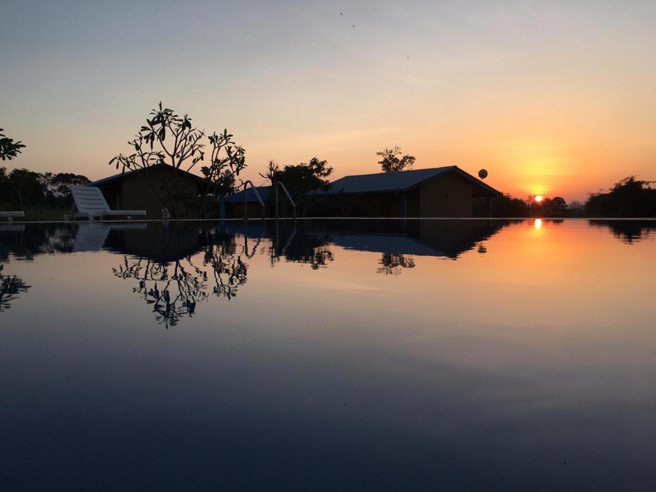 Rho Sigiriya Lake Edge Retreat Kibissa Kültér fotó